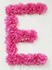 Liddy B and me Tissue Paper Monogram